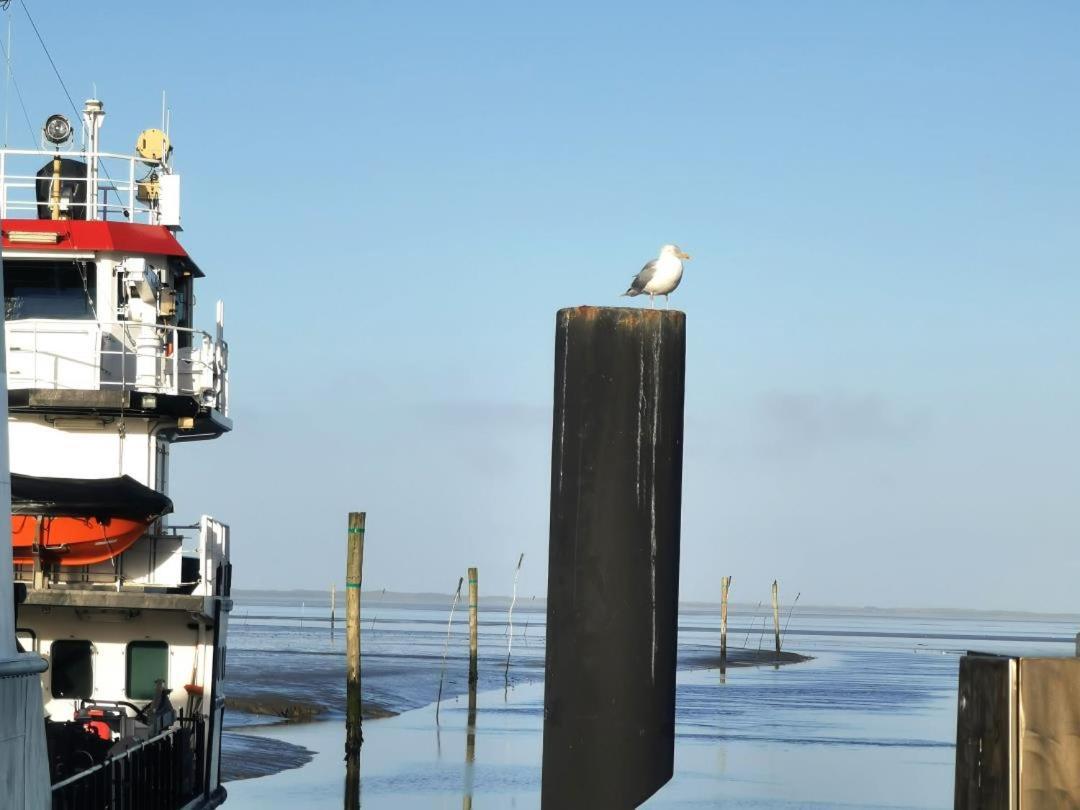 Schicke Julia An Der Nordsee * Lutetsburg